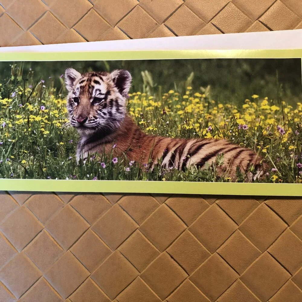Lot of 7 World Wild Life Organization Blank Cards with Envelopes